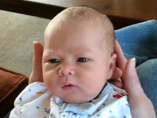 click here to go to the Ethan scrolling, slide show, page